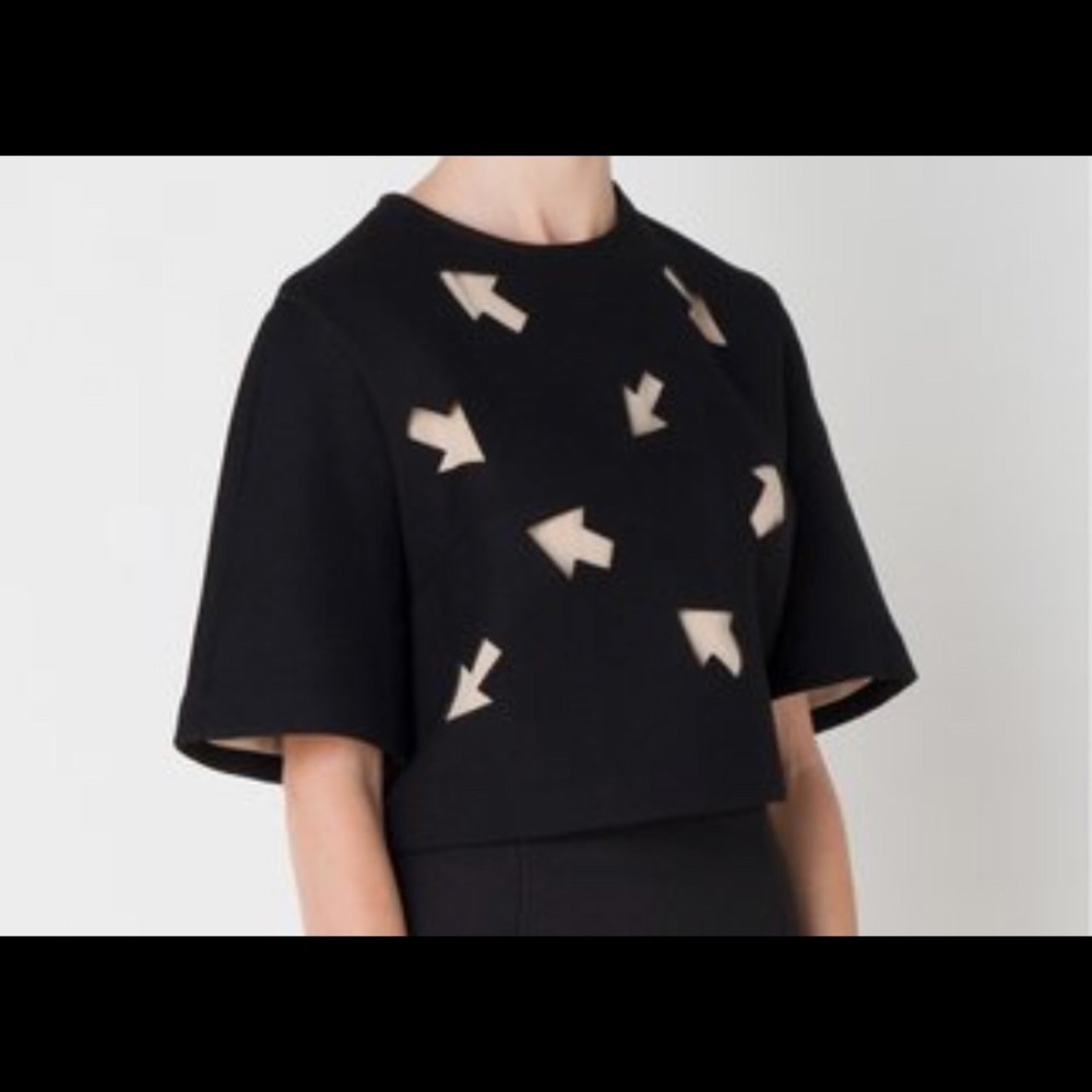 Le Ciel Bleu Arrow Cropped Top